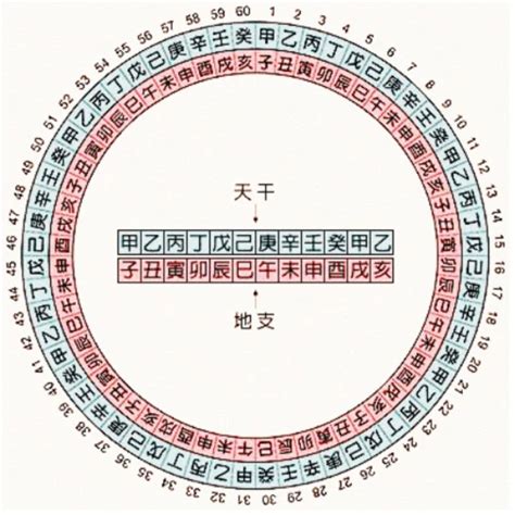 1983 天干地支|天干地支对照表